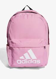adidas bag.